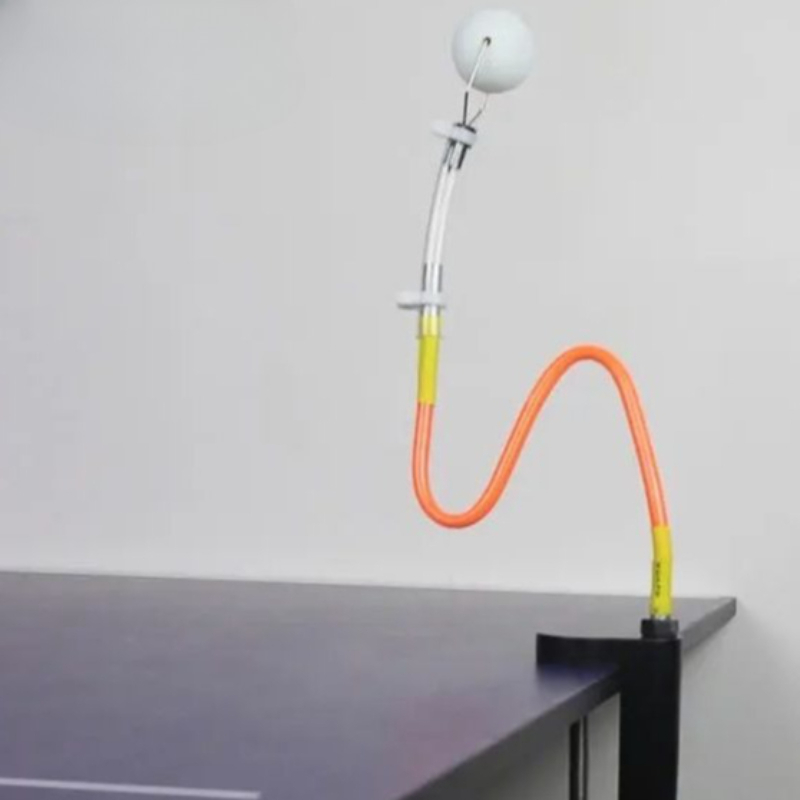 WAP01  Professional Table Tenn - Table Tennis Training ulasan dan harga