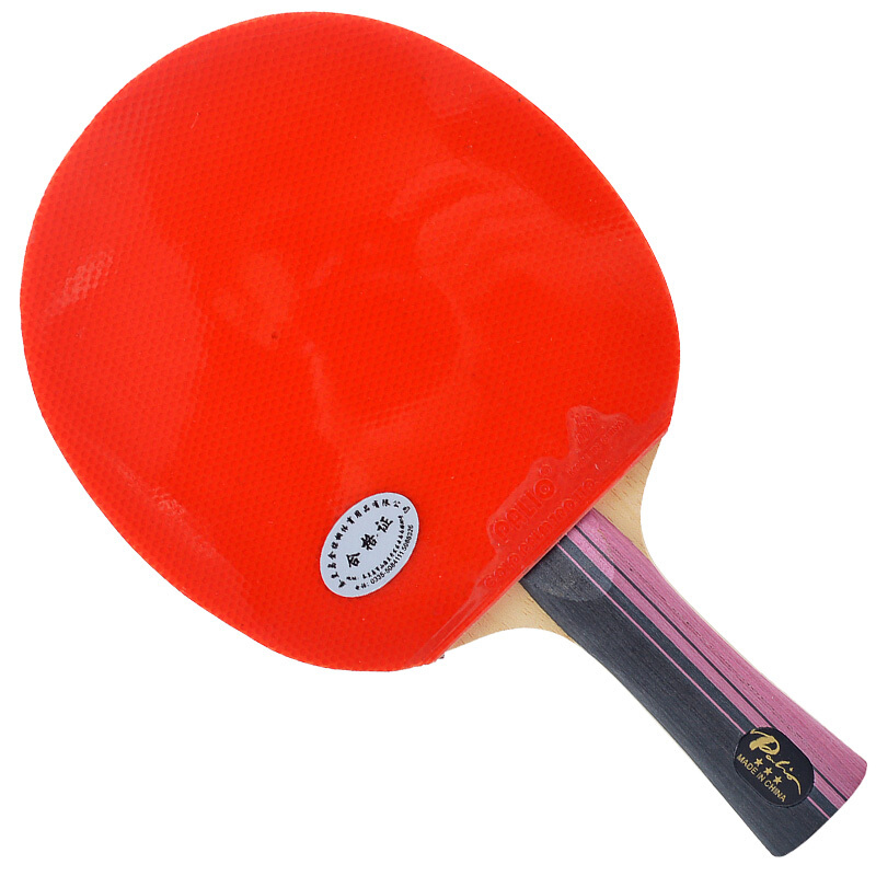 Original PALIO 3 Stars Carbon  - Table Tennis History ulasan dan harga