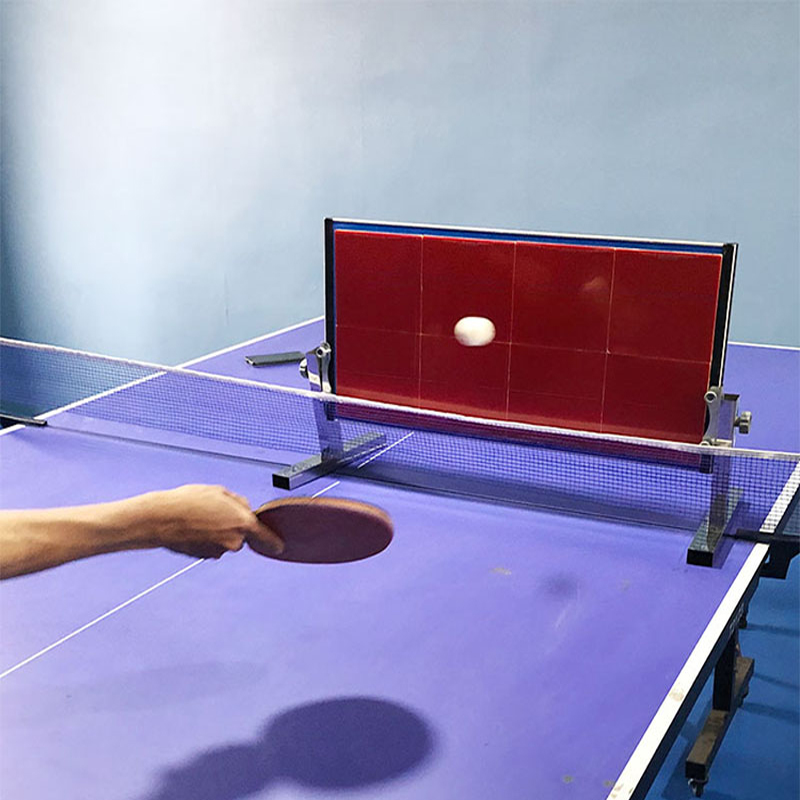 Home Table Tennis Rebound Boar - Table Tennis How To Play ulasan dan harga