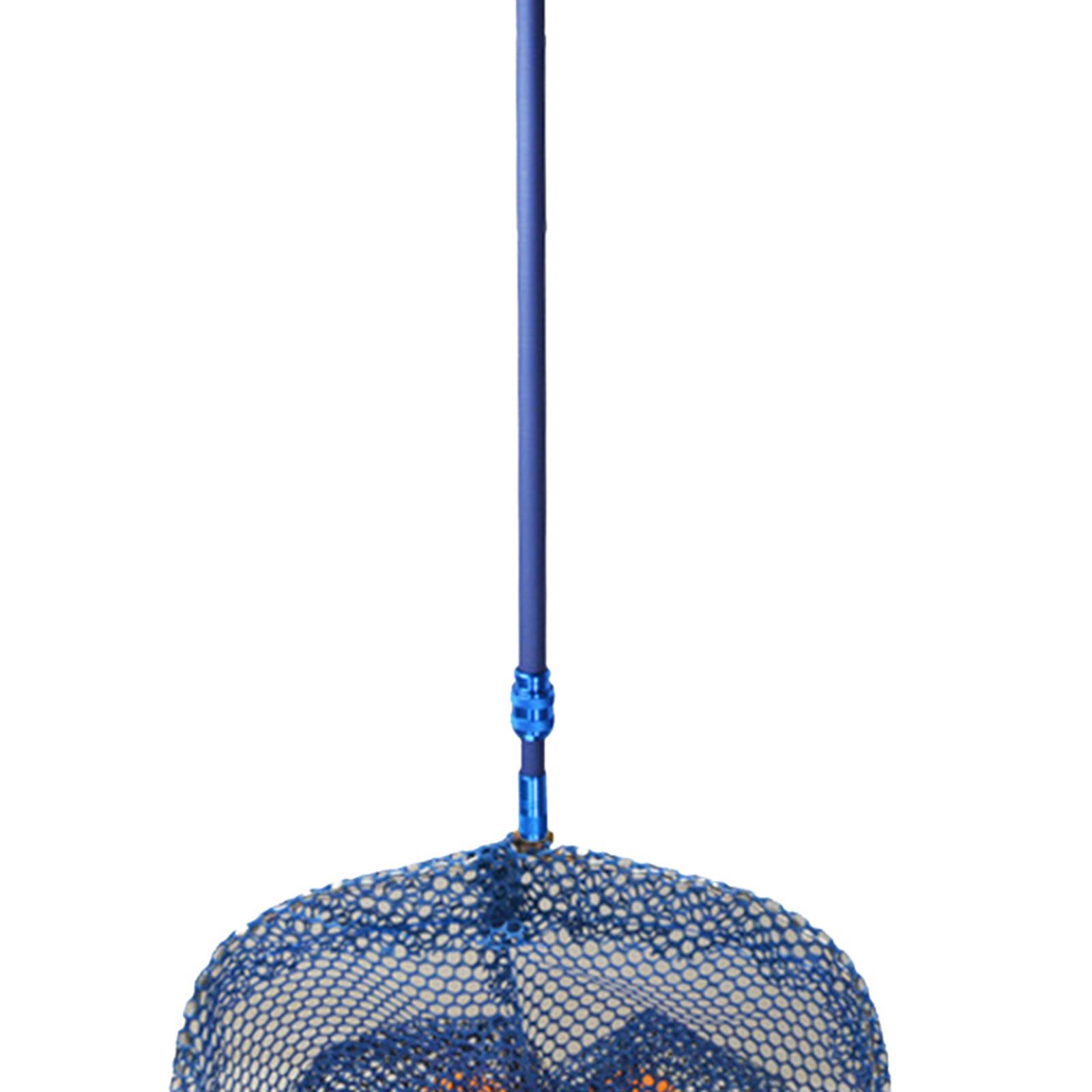 Carbon Fiber Table Tennis Ball - Table Tennis Net Set ulasan dan harga