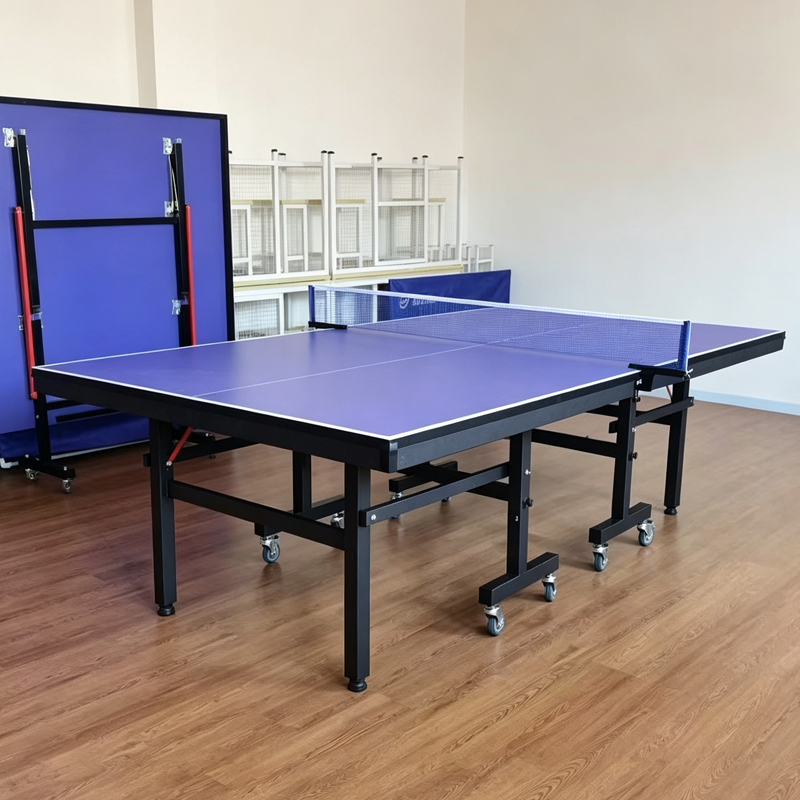 High Quality International Sta - Table Tennis Training ulasan dan harga