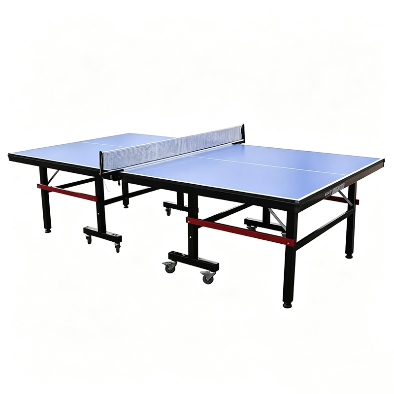 High Quality International Sta - Table Tennis Training ulasan dan harga