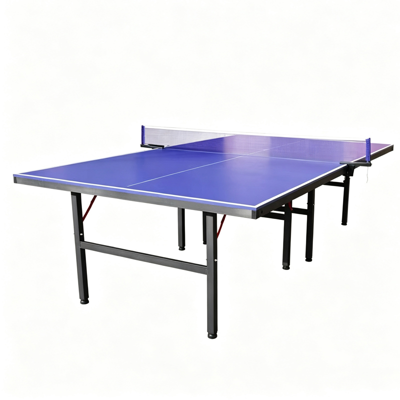 High Quality International Sta - Table Tennis Training ulasan dan harga