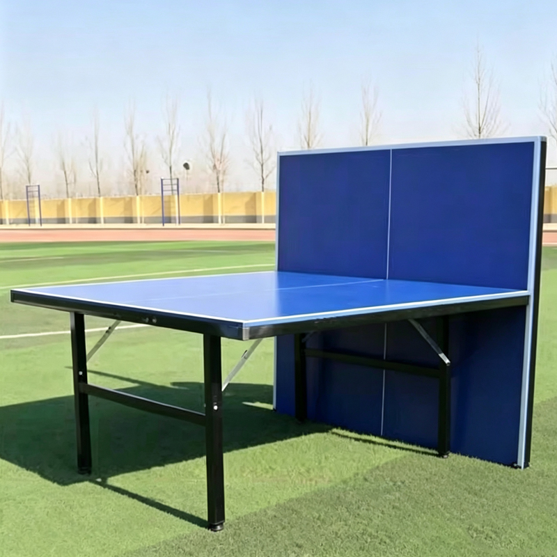 High Quality International Sta - Table Tennis Training ulasan dan harga